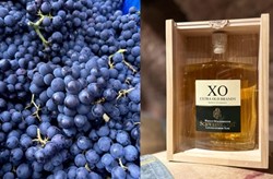 Zeige Details für WünscheErfüller WeinPaket  Bild von WünscheErfüller WeinPaket