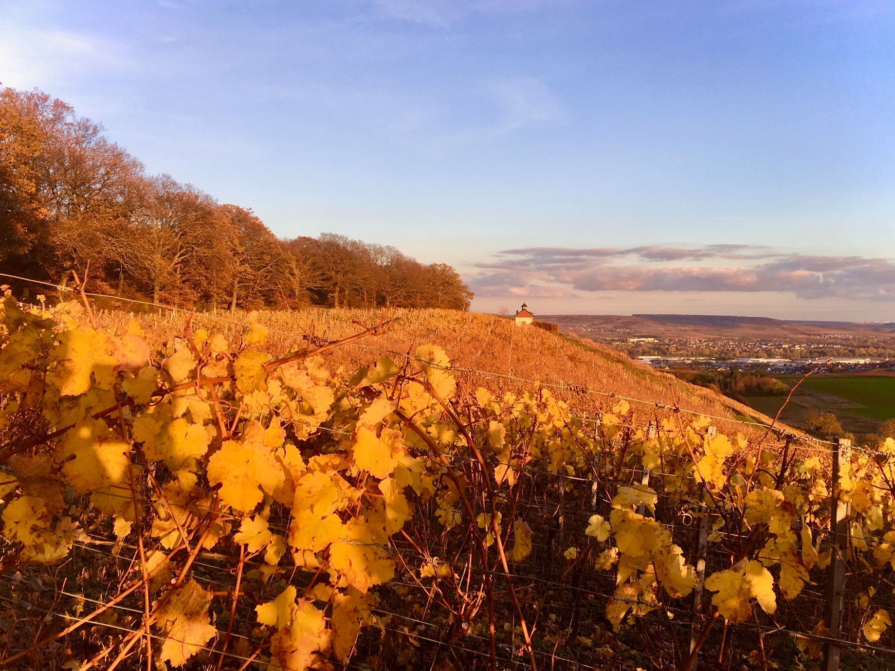 Bild von Herbst - Probierpaket