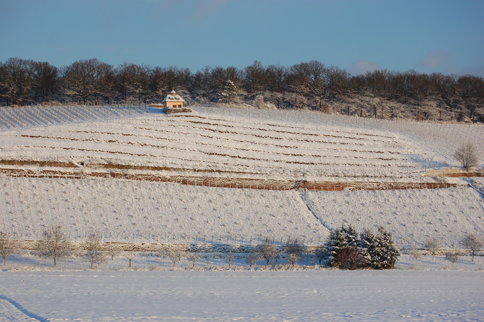 Bild von Winter - Probierpaket