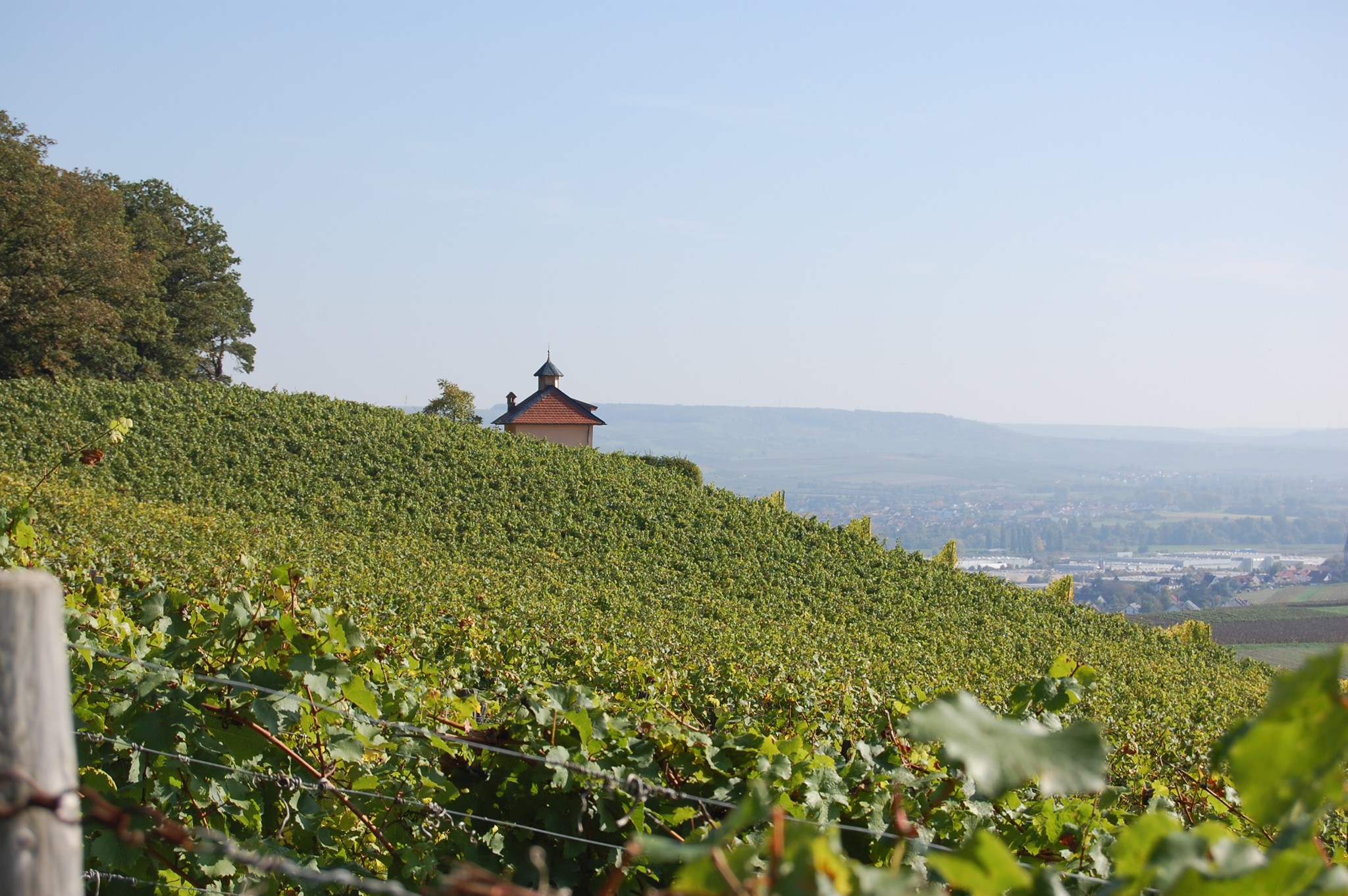 Bild von Sommer - Probierpaket