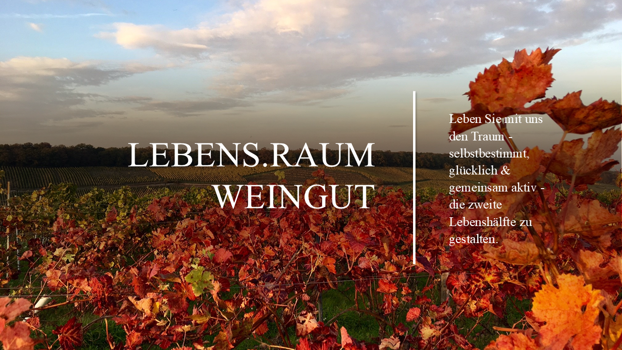 Bild von Info- & Kennlernpaket WohnGut