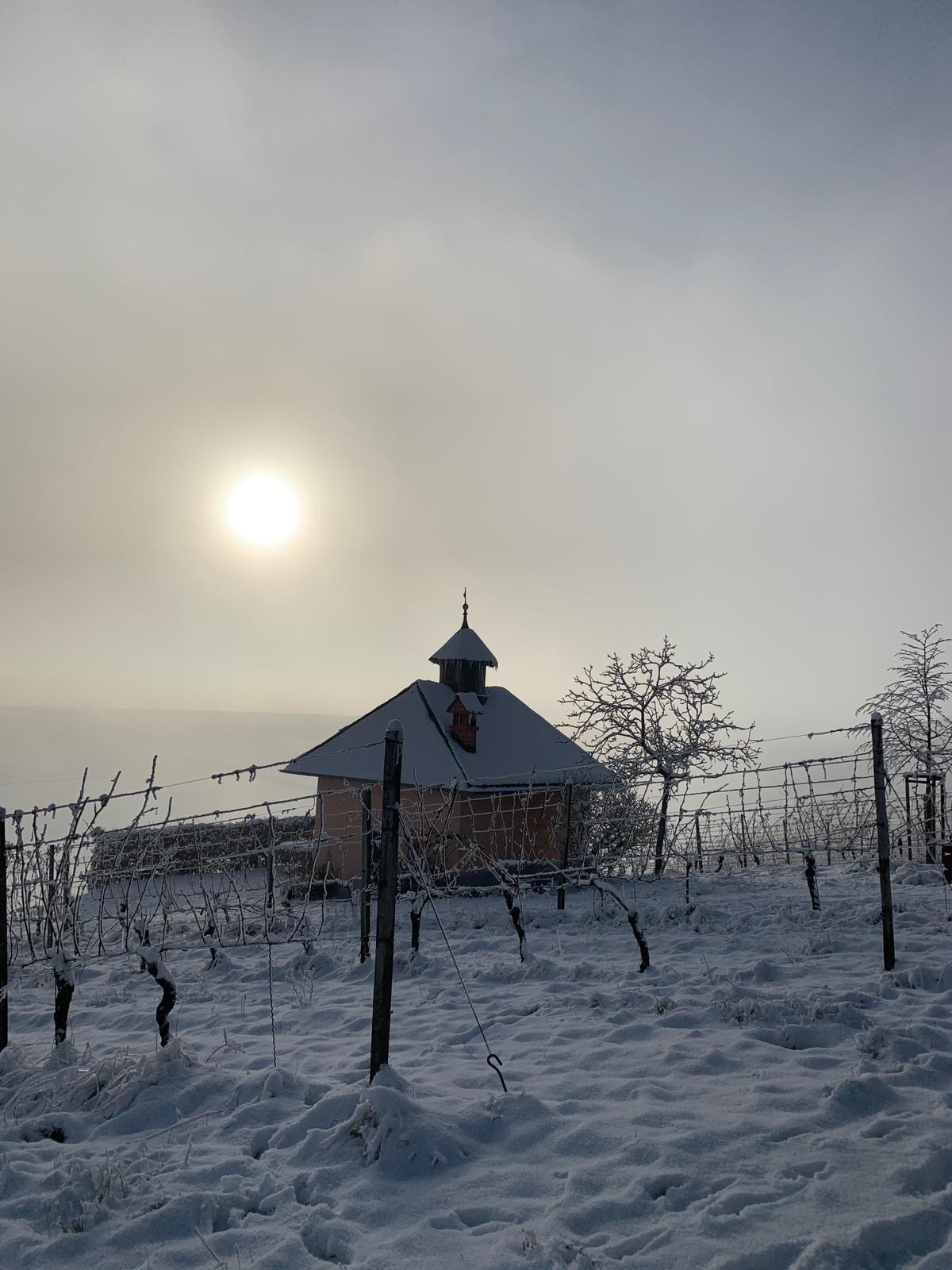 Bild von festliches Weihnachtspaket
