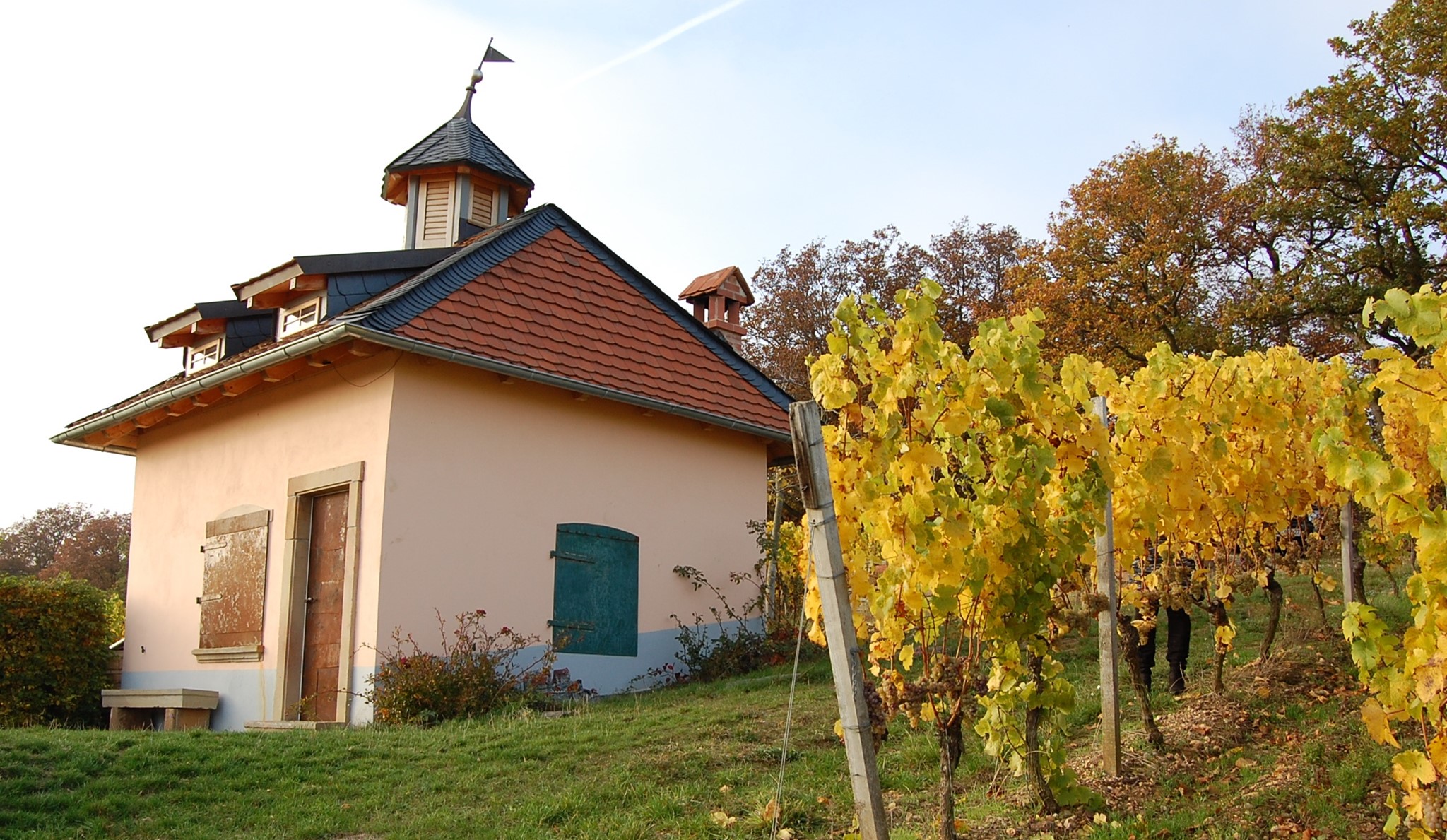 Bild von Goldener Herbst – Weißweinpaket